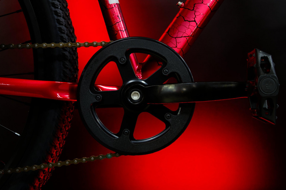 LORAK SHARK 26 GOLD Золотой красный