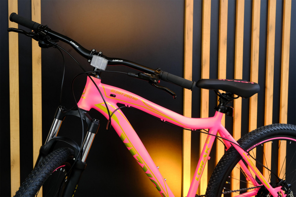 LORAK GLORY 250 HD Матовый Розовый/Золотой рама 19 (на рост 171-182)